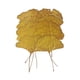 thumbnail image 4 of Hojas secas prensadas,Hojas secas prensadas para artesanías de resina hojas de otoño,hojas secas para decoración Resina epoxi,hojas prensadas arte de pared a granel arte enmarcado DIY,hoja, 4 of 10