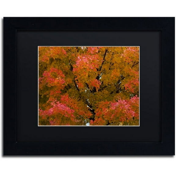 Trademark Fine Art "Autumn Maple Splendor" Canvas Art by Kurt Shaffer Black Matte, Black Frame
