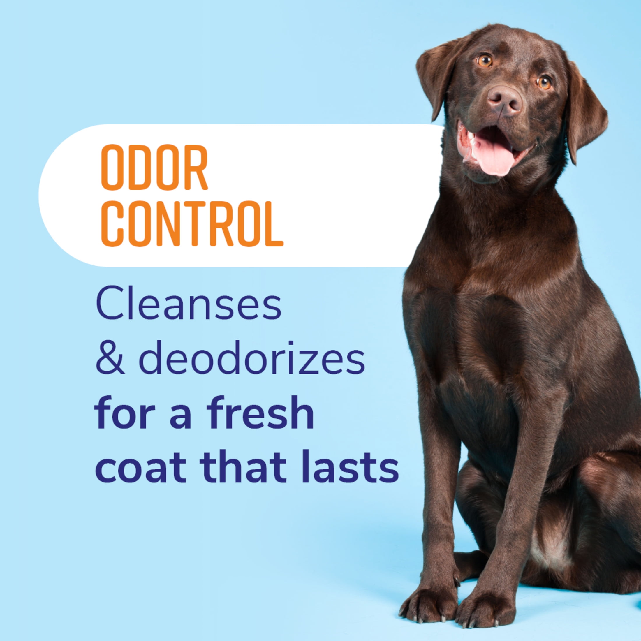 Naturel Promise Fresh & Soothing Deodorizing Dog Shampoo, 22 fl oz for Smelly Dogs