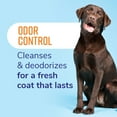 thumbnail image 3 of Naturel Promise Fresh & Soothing Deodorizing Dog Shampoo for Smelly Dogs, 22oz Bottle, 3 of 8