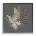 thumbnail image 4 of Stupell Industries Fern Sprigs Leaves Layered Nature Earthy Botanicals Graphic Art White Framed Art Print Wall Art, Design by House of Rose, 4 of 5