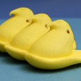 thumbnail image 4 of Yellow Easter Marshmallow Candy Chicks, 5 Count per pack, Treats for Easter Baskets and Party Decorations - Pack of 4, 4 of 5