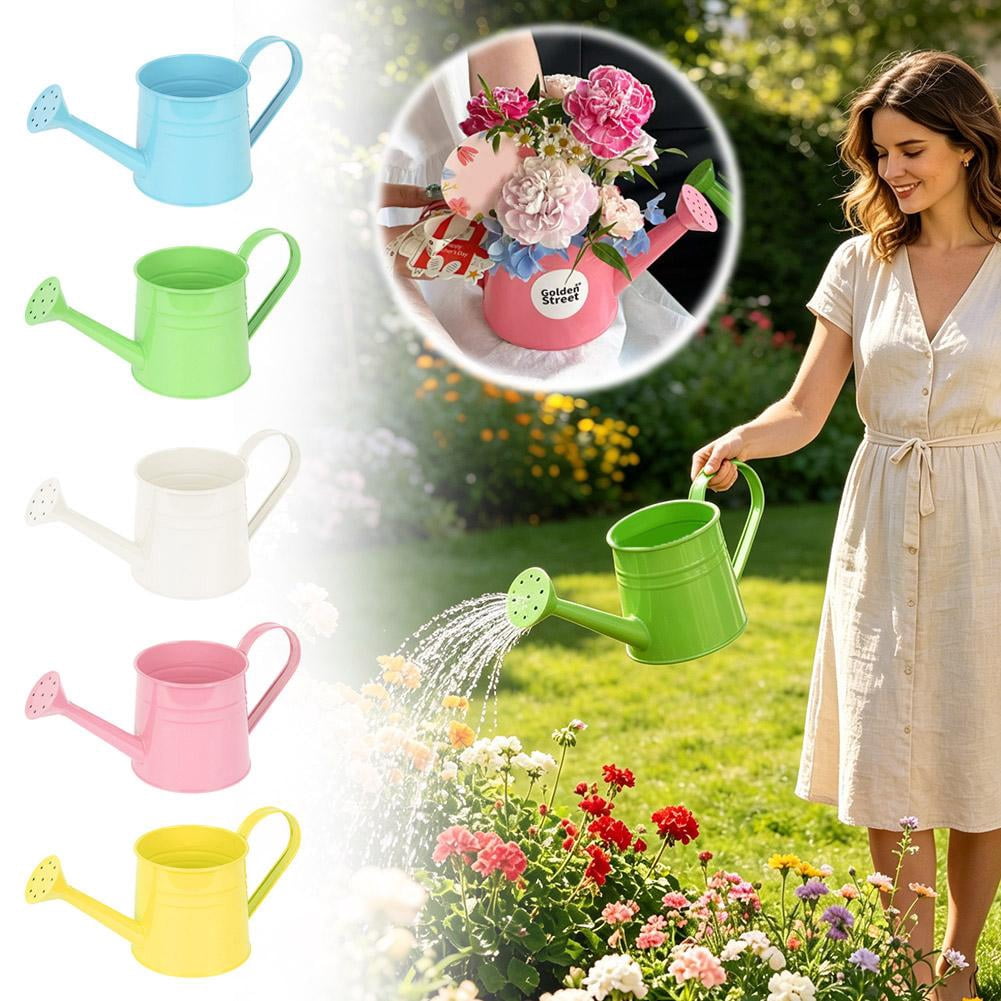 Metal Watering Can, 1L Vintage Sprinkling Can Plant Watering Cans for Outdoor Indoor Plants, Retro Sprinkling Cans for Flowers, Indoor & Outdoor Plants, Lawn & Garden Irrigation Tool - White