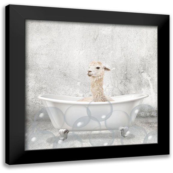 Kimberly, Allen 12x12 Black Modern Framed Museum Art Print Titled - Baby Llama Bath