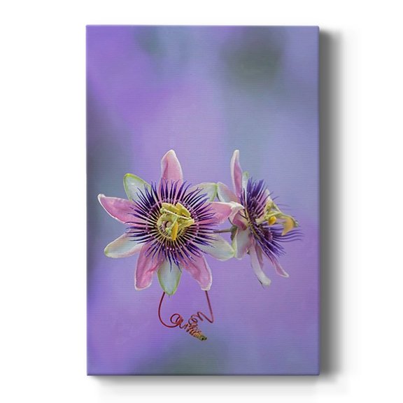 Exotic Flower Burst II Premium Gallery Wrapped Canvas - Ready to Hang
