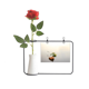 thumbnail image 1 of Naturaleza hojas caídas de agua de la planta Botella de decoración de jarrones colgantes de flores rosas artificiales, 1 of 3