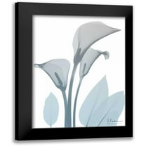 Koetsier, Albert 12x14 Black Modern Framed Museum Art Print Titled - Serene Calla Lily