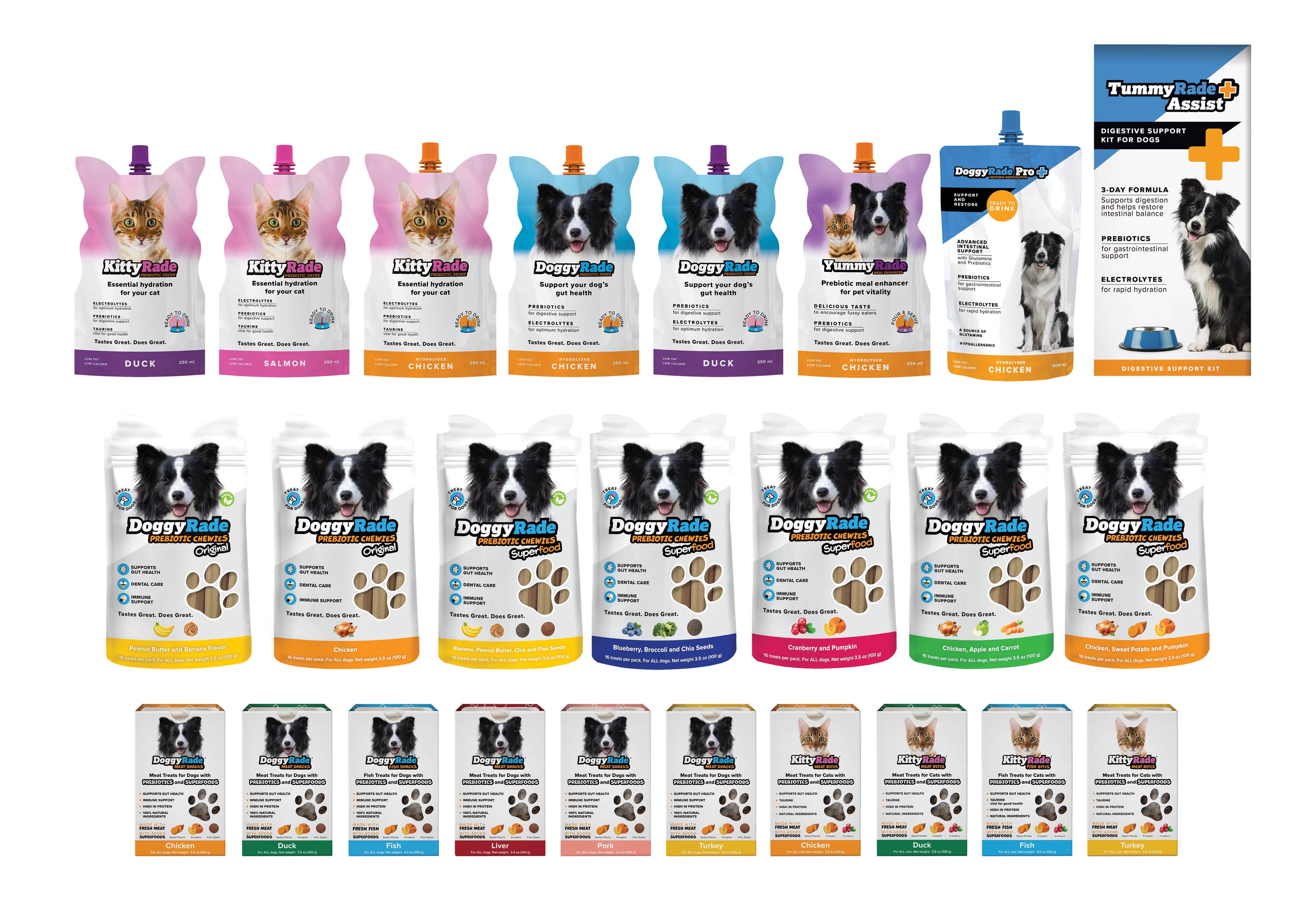 DoggyRade Prebiotic & Electrolyte, Hydration Drink for Dogs/Dogs 6 Weeks or Older/Digestive & Immune Health/Electrolytes & Nutrients/3 - 8.4 fl oz Pouches