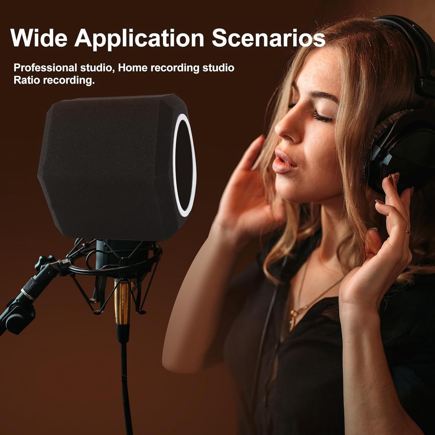 Professional Studio Microphone Windscreen Pop Filter Ball with 5-Sided Sound-Absorbing Foam & Octagonal Windshield - Reduces Noise, Pops, Breath Sounds, Echoes - Black