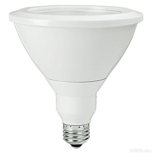Inleg Bestaan zacht GE Lighting Directional LED Lamp, 12 watt, 120 volt, PAR38, Medium Screw  (E26) Base, 860 lumens - Walmart.com