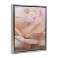 thumbnail image 4 of Stupell Industries Soft Rose Petals Botanical & Floral Painting Gray Floater Framed Art Print Wall Art, 25 x 31, 4 of 10