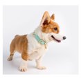 thumbnail image 5 of Collar De Perro De Cuero Para Perros Pequeños Y Medianos Collar De Cachorro Acolchado De Cuero Suave Y Transpirable Ajustable Con Hebilla De Aleación Collar Clásico Para Perros A Prueba De Agua ER, 5 of 5