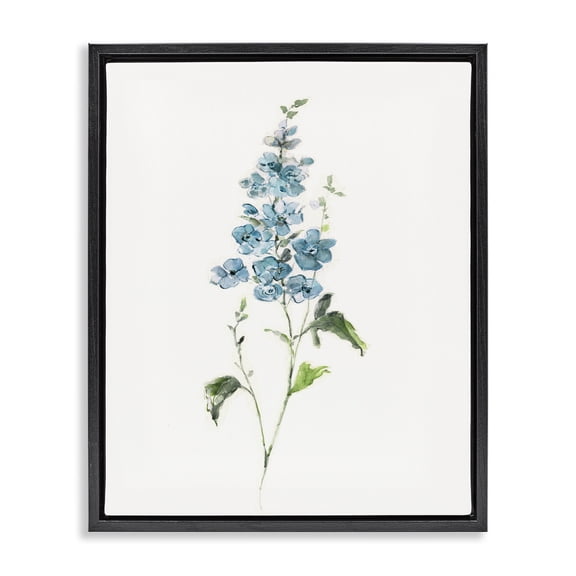Stupell Industries Natural Spring Herbs Black Framed Floater Canvas Wall Art, design by Sally Swatland