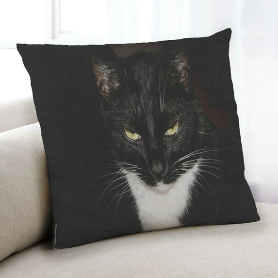 Ahgly Company Cat Cats Indoor Throw Pillow, 18 inch by 18 inch