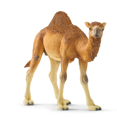 thumbnail image 1 of Schleich - 14832 Wild Life Dromadaire, 1 of 4