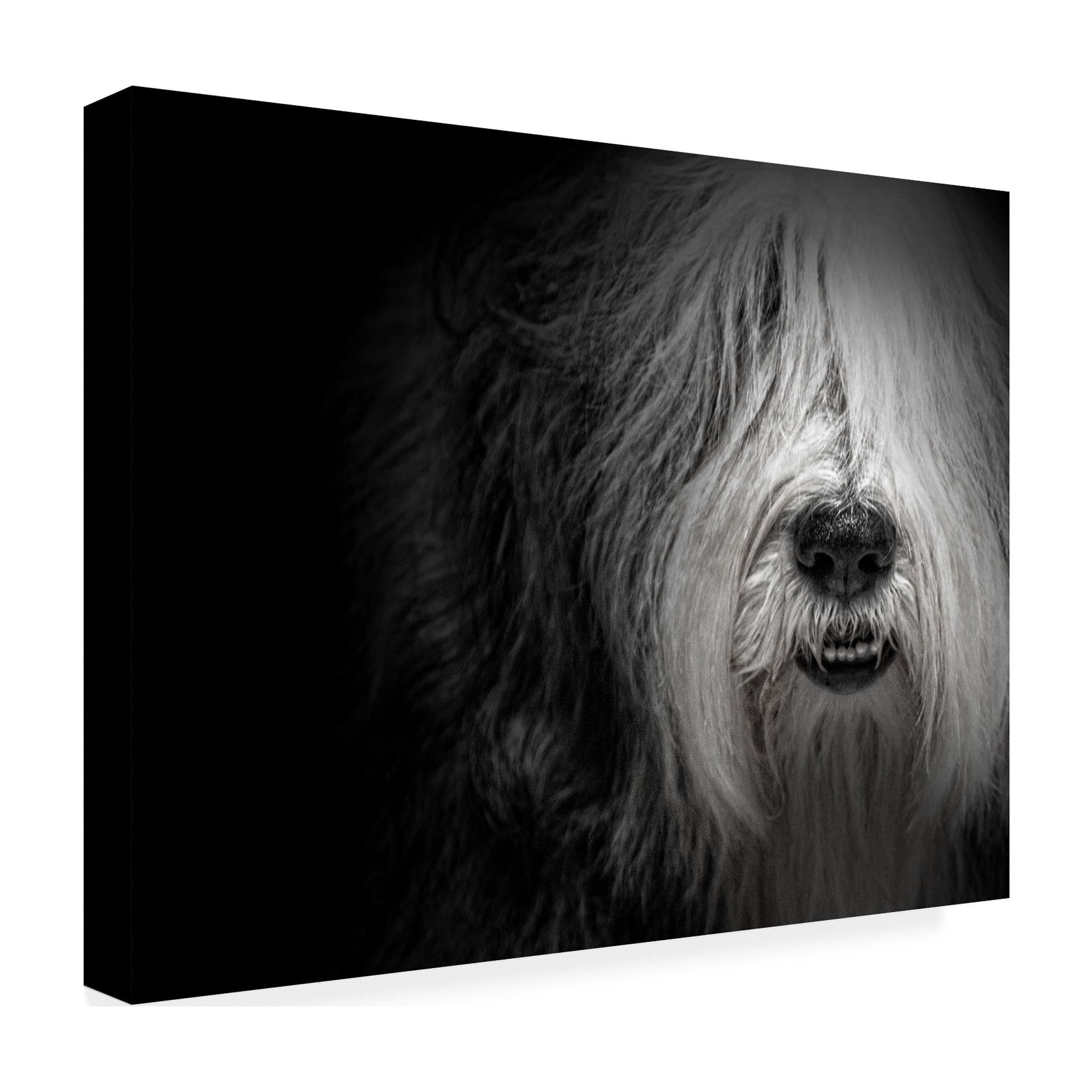 Trademark Fine Art 'Sheepdog' Canvas Art by Lori Hutchison