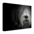 thumbnail image 4 of Trademark Fine Art 'Sheepdog' Canvas Art by Lori Hutchison, 4 of 4