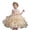 E282-Beige, variant on hengsof Girls Fashion Solid 3D Floral Bow Sleeveless Round Neck Mesh Dress for Wedding Party 3-10 Years Flower Girl Formal Gown