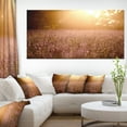 thumbnail image 1 of Brown Tinged Lavender Field Sunset - Floral Canvas Art Print, 1 of 3