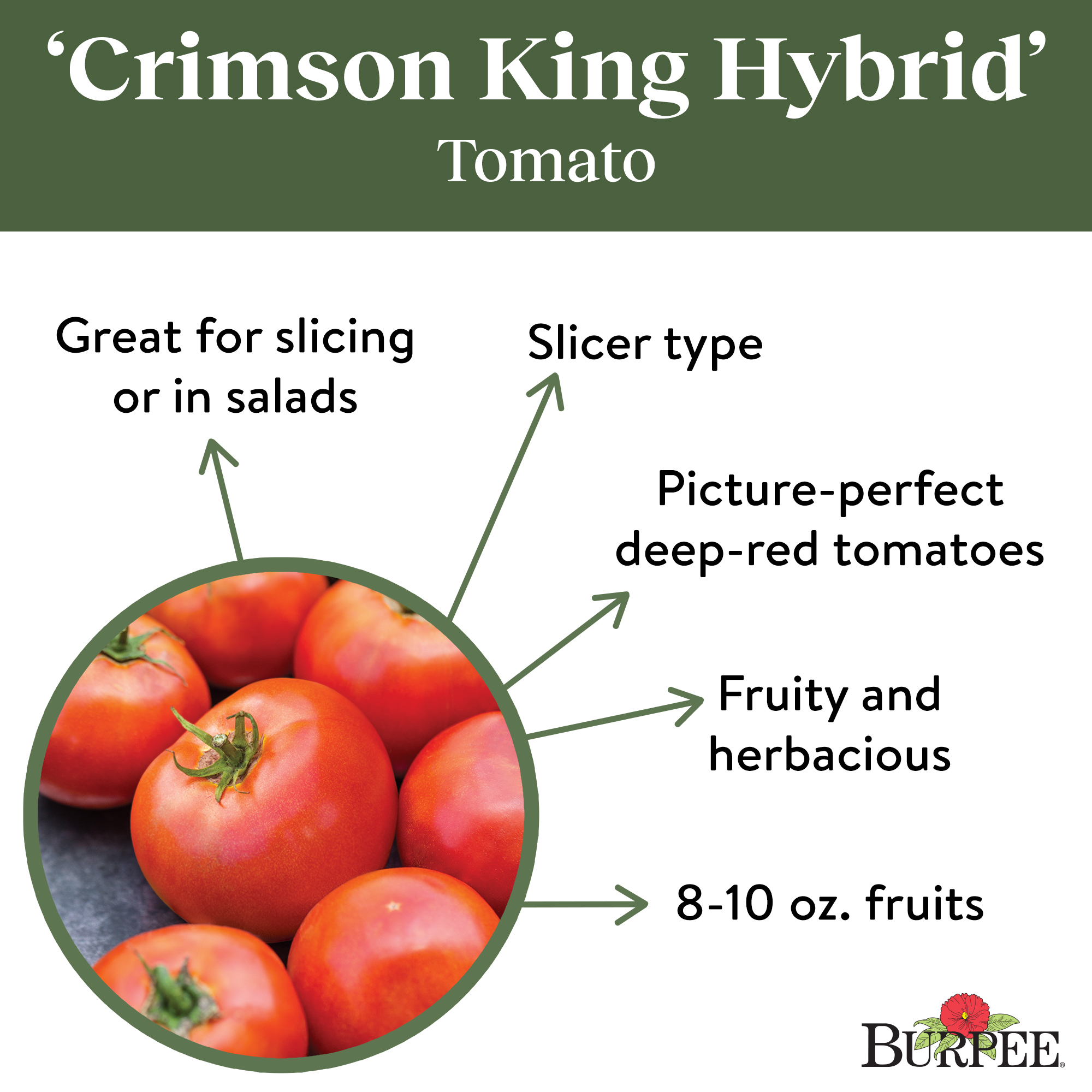 Burpee Crimson King Tomato Vegetable Seed, 1-Pack