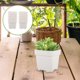 thumbnail image 3 of 10pcs Suculentas macetas macetas macetas de flores contenedores florales durables macetas HOMEMAXS 13470560-MX, 3 of 6