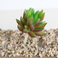 thumbnail image 1 of Flor Artificial Floral Toque Real Planta de Paisaje Follaje Sin Maceta DIY Artesanía Favor Jardín Oficina Decoración Del Macarena  Planta Succulenta Artificial, 1 of 7