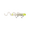 LEMON HEAD FLSH, variant on SAVAGE GEAR 3D X-TAIL SUCKER 12IN