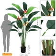 thumbnail image 3 of Artificial Bird of Paradise Tree 7FT(84in) Fake Palm Tree for Indoor Outdoor Modern Decor Faux Plants for Home Office Perfect Housewarming Gift with 17 Trunks Faux Leaves and 3 Flowers 1 Pack, 3 of 6