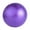 Purple, variant on SPRING PARK Explosion proof Thickening Fitness Mini Exercise Ball Small Pilates Yoga Core Training and Physical Therapy Improves Balance for Kids Women