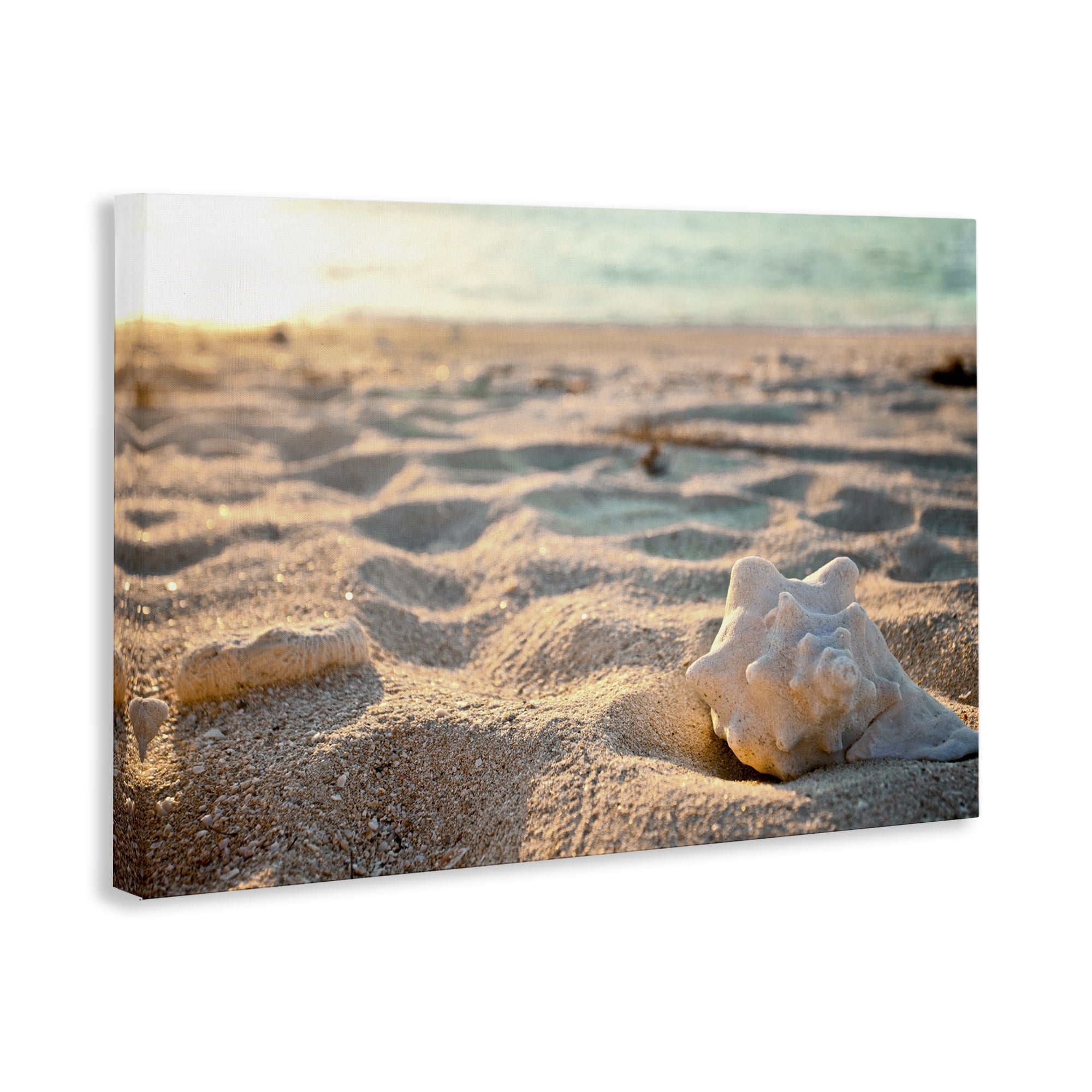 Stupell Industries Conch Shell in Sand Coastal Photography Gallery Wrapped Canvas Art Print Wall Art, 36 x 24