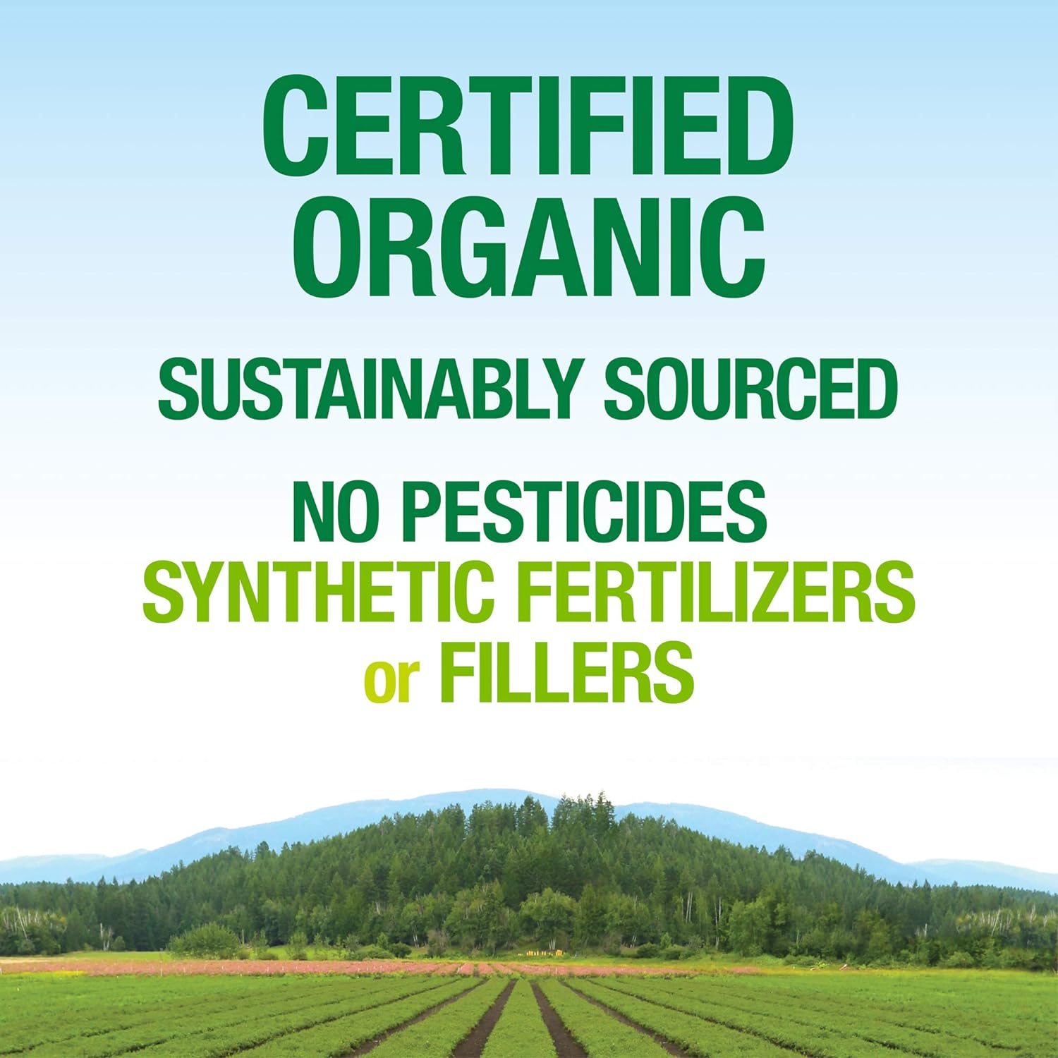 Natural Factors Whole Earth & Sea, Organic Fermented Protein & Greens, Vegan Whole Food Supplement, Vanilla Chai, 1 lb 7 Oz