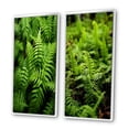 thumbnail image 3 of Designart "Green Fern Fonds Nature s Elegance I" Floral Framed Wall Art Set Of 2 - Green Floral Frame Gallery Set For Office Decor, 3 of 7