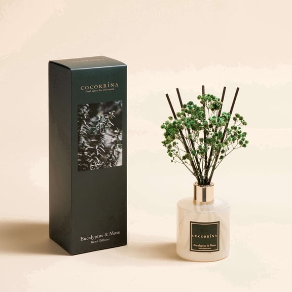 COCORRÍNA Eucalyptus & Moss Reed Diffuser Set, 6.7 fl oz Glass Bottle with Dried Flower, Long Lasting Home Fragrance for Bedroom, Bathroom, Office, Gift