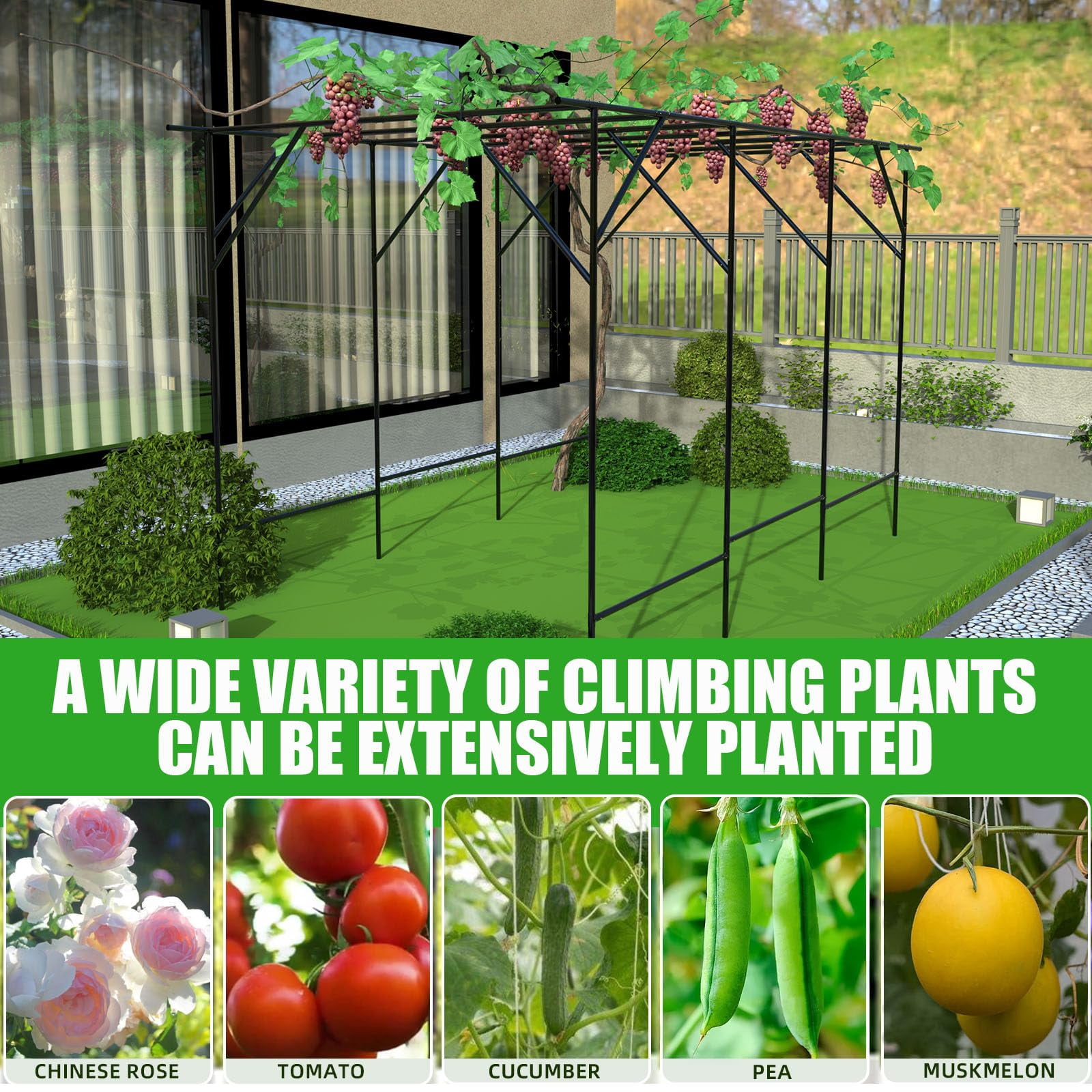 Grape Vine Trellis - Large Outdoor Garden Arch Trellis for Climbing Plants - Size: 78.7 * 59 * 78.5 inches, Plant Support Rack Trellises for Vegetables Fruits Cucumber Pea Bean