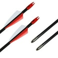thumbnail image 3 of Runzkzy 29inch Fiberglass 6/12 PCS Archery and Hunting Arrows Combined with Recurve Bows and Arrows, 3 of 13