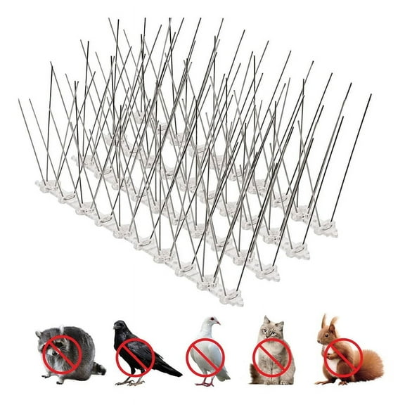 Bird Spikes for Pigeons Small Birds: Anti-Bird Nest Fence Spike for Deterring Birds, Crows, Smooth 10Pcs