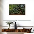 thumbnail image 3 of Elephant Stock Angel Oak Tree Wall Art - Horizontal Canvas Wall Art - Living Room Wall Decor - Floral And Botanical Canvas - Green And Blue Decor - 30" x 20", 3 of 8