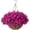 Z Purple Red, variant on Artificial Hanging Plants Flowers Basket,Faux Silk Morning Glory Arrangement in inch Planter Flowerpot,Fake Hanging Flowers for Patio Garden Porch Deck Outdoor Spring Decor(Rose red)