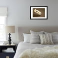 thumbnail image 5 of Camembert Cheese Stuffed with Truffles at La Truffe De Ventoux Truffle Farm, Vaucluse, Rhone Framed Print Wall Art by Per Karlsson Sold by Art.Com, 5 of 5
