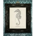 thumbnail image 4 of Seahorse Artwork - 11x14 Unframed Art Print - Great Beach House Wall Decor, 4 of 6