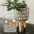 thumbnail image 1 of WRITWAA Fish Decor Bowl Aquarium Tank PET Transparent 1Pack For Pet Containers, 1 of 8