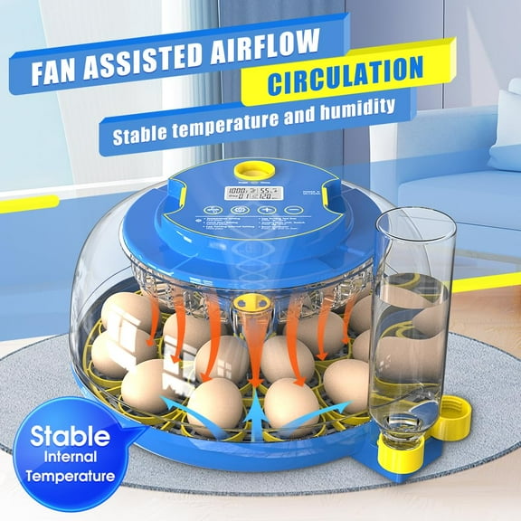 18 Egg Incubator with Automatic Turning and Humidity Control for Chicken, Quail, Hatching Eggs