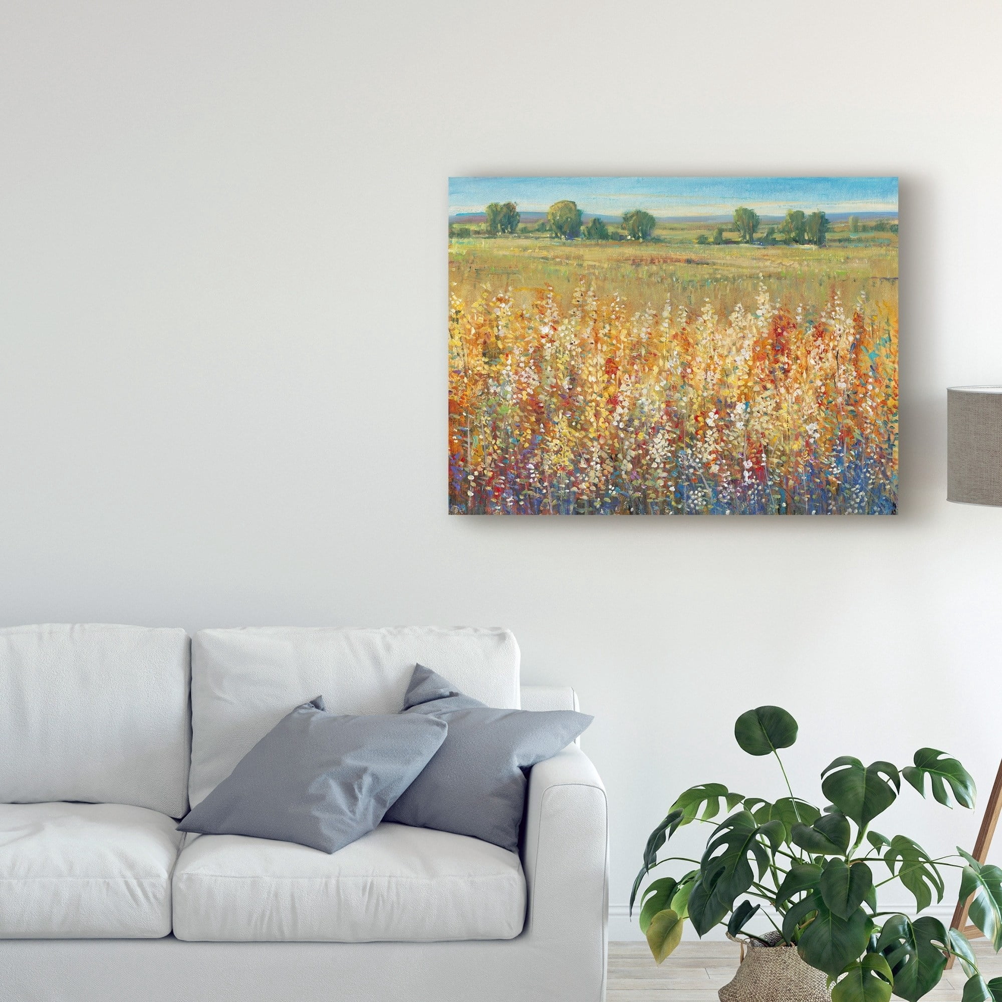 Trademark Fine Art 'Gold and Red Field I' Canvas Art by Tim OToole