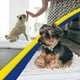 thumbnail image 3 of Muddy Mat® AS-SEEN-ON-TV Tapete para puerta y alfombra para mascotas de microfibra altamente absorbente, área lavable gruesa antideslizante y tapete de baño de chenilla suave para cocina, baño, dormit, 3 of 5