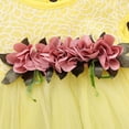thumbnail image 5 of Robe de Fée, Robes d'Automne pour Filles Robe d'Automne pour Tout-Petites Robe de Noël pour Filles Robe de Noël pour Filles Tenue d'Automne pour Bébé Fille Robe de Fée pour Tout-Petite, 5 of 5