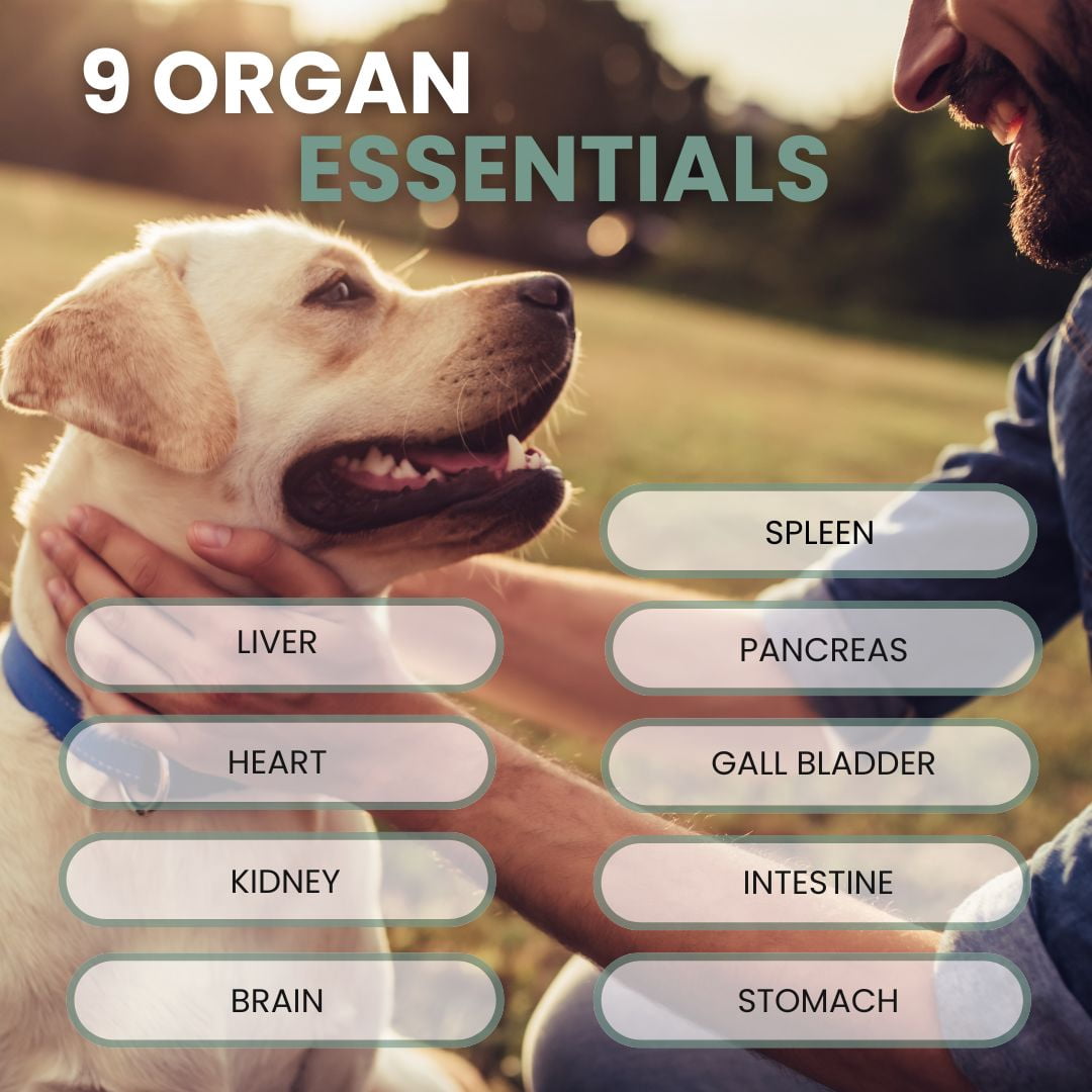 PRIMALRX K9 Essentials Multi-Organ Powder for Dogs, Grass-Fed Beef Organs, 120g