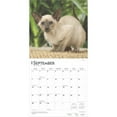 thumbnail image 4 of Siamese Cats | 2025 12x24" (Hanging) Square Wall Calendar | BrownTrout, 4 of 9