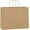 Brown, variant on 100 count 16x6x12 Inches  Paper Bags with Handles Bulk, Large Shopping Bags for Gifts, Grocery, Merchandise, Party Favor, Take-out, Recyclable White Paper Sacks