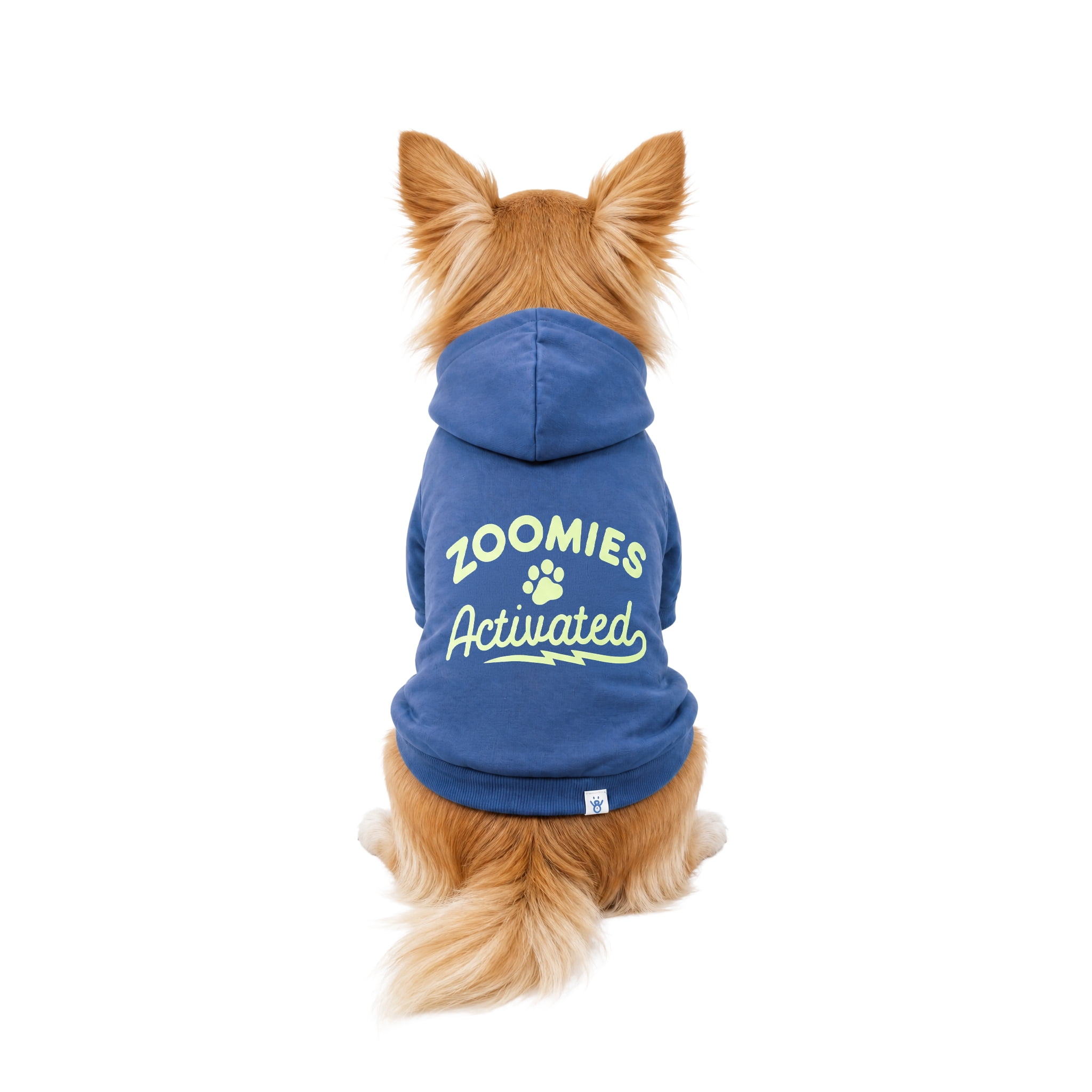 Oodles Zoomie Activated Fall Dog Hoodie, Blue, XS