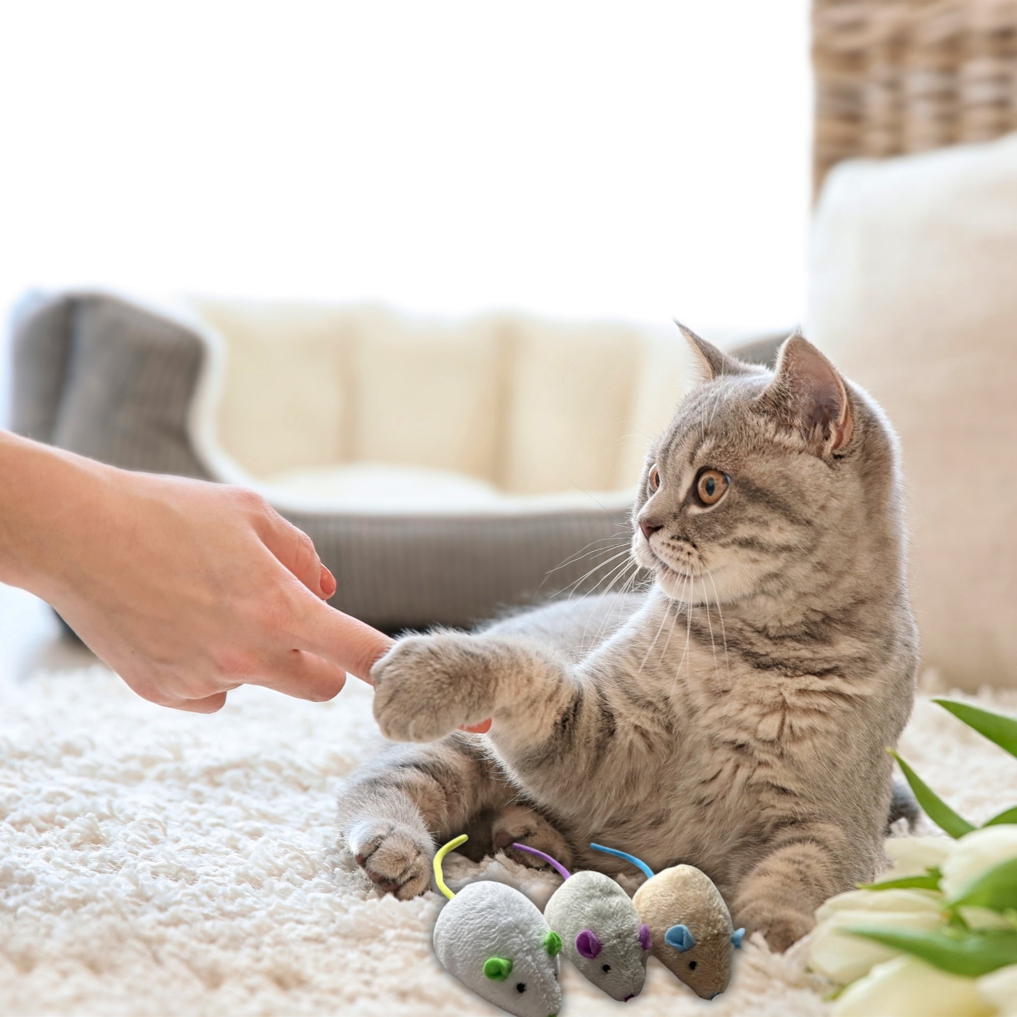 Klassique Logistics Plush Cat Mouse Toys with Bell, 6-Pack (Total of 18) Interactive Cat Toys for Indoor Cats, Soft Plush Kitten Chase & Chew Toys, Assorted Colors